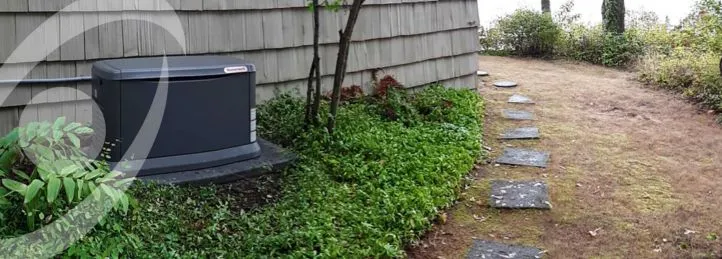 Whole House Generators