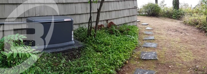 Whole House Generators